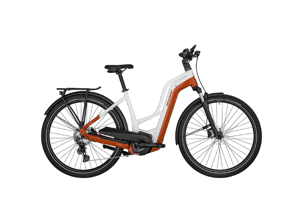 BERGAMONT Bike E-Horizon Edition LTD Ams 48 